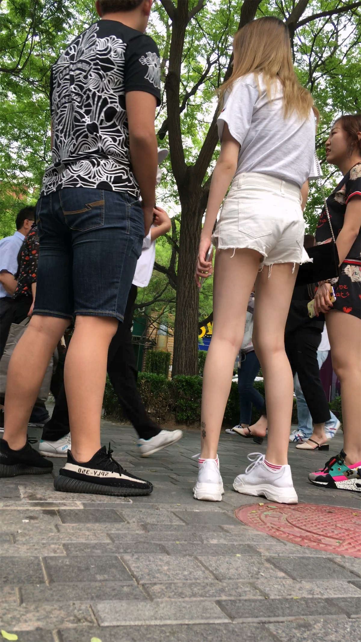 95355-gslf2g1bzvy.jpg