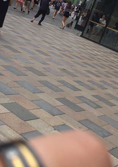 28294-hugsdieuwl4.jpg