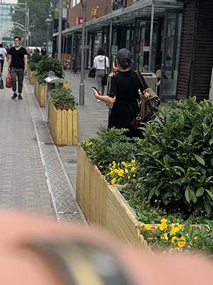 37037-oaehcr0enyd.jpg