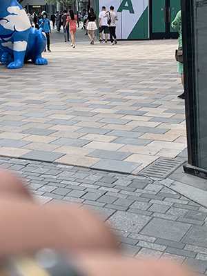37284-ydpkiedu344.jpg
