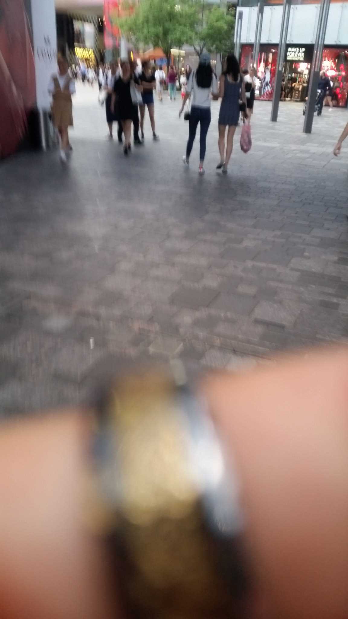 18113-yul1fanhgpv.jpg