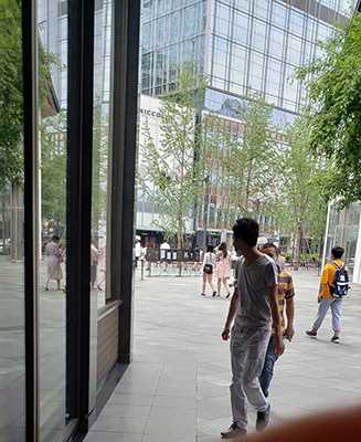 38255-gldjehcbwi1.jpg