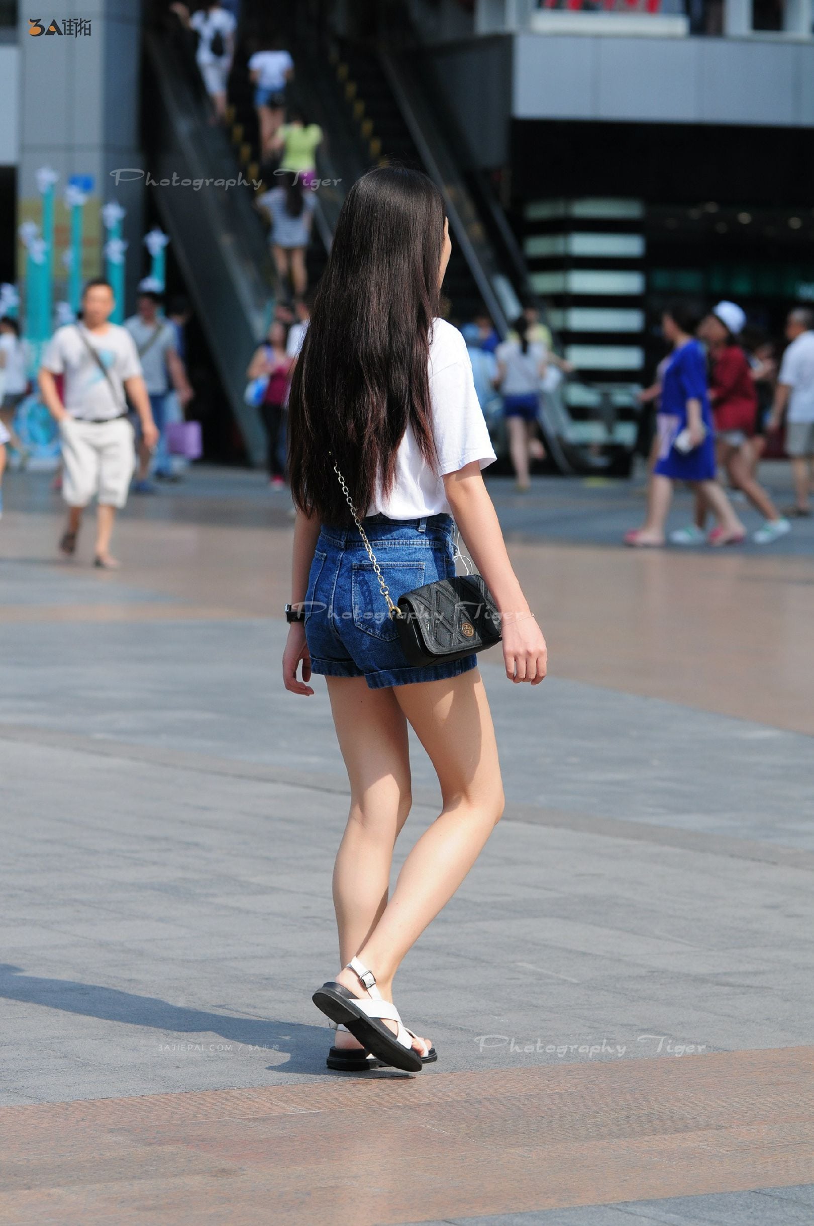 174325-2cxscff41pi.jpg