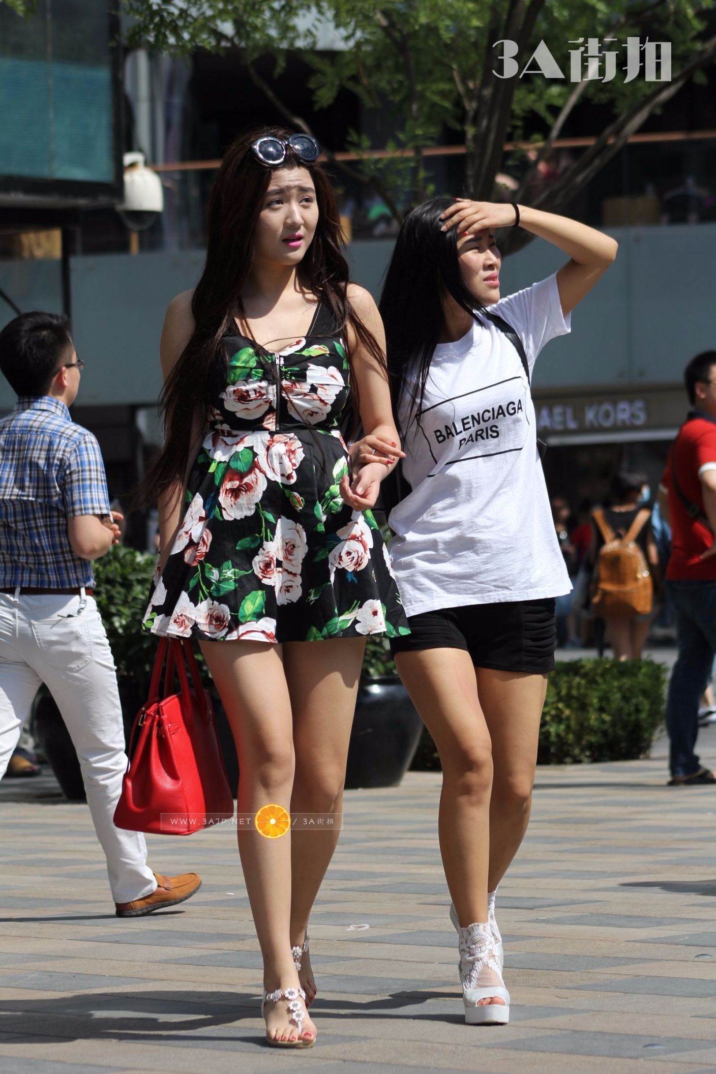 178675-wzfh0tync1p.jpg