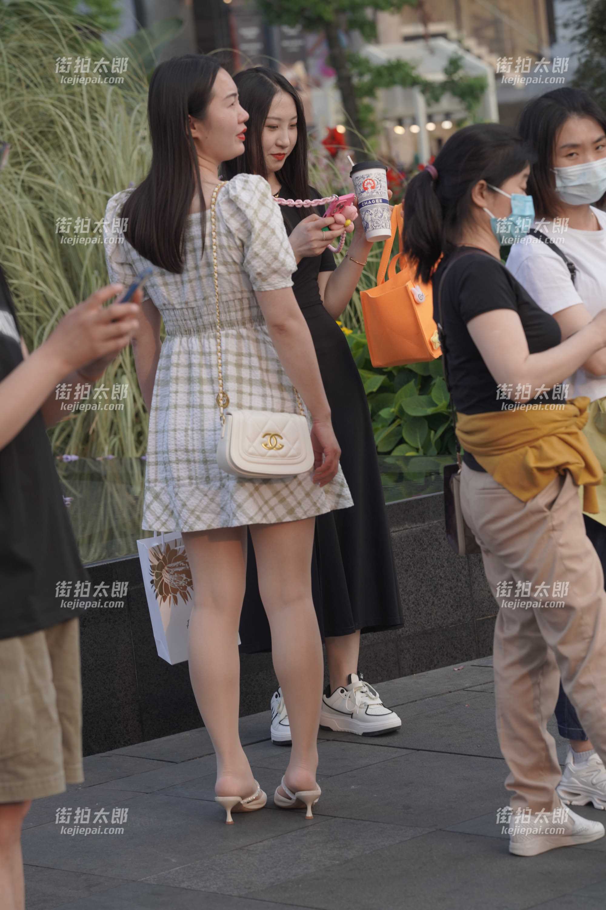 4591-j1bk2jwomul.jpg