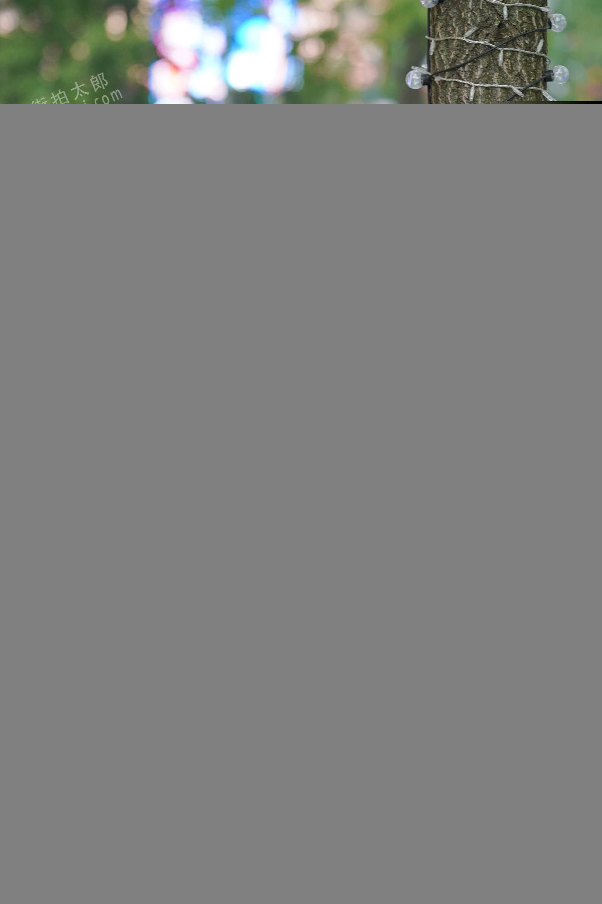 3109-wwucsomd0sz.jpg