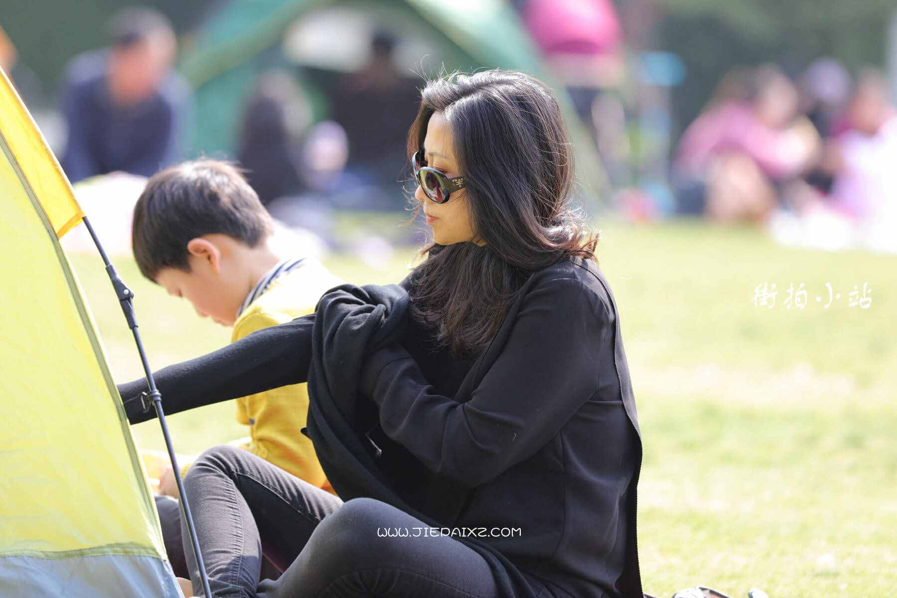 13039zjvdaldqarr.jpg