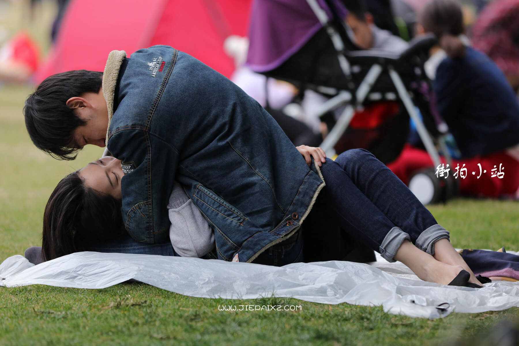 171045vv4gl0netr.jpg