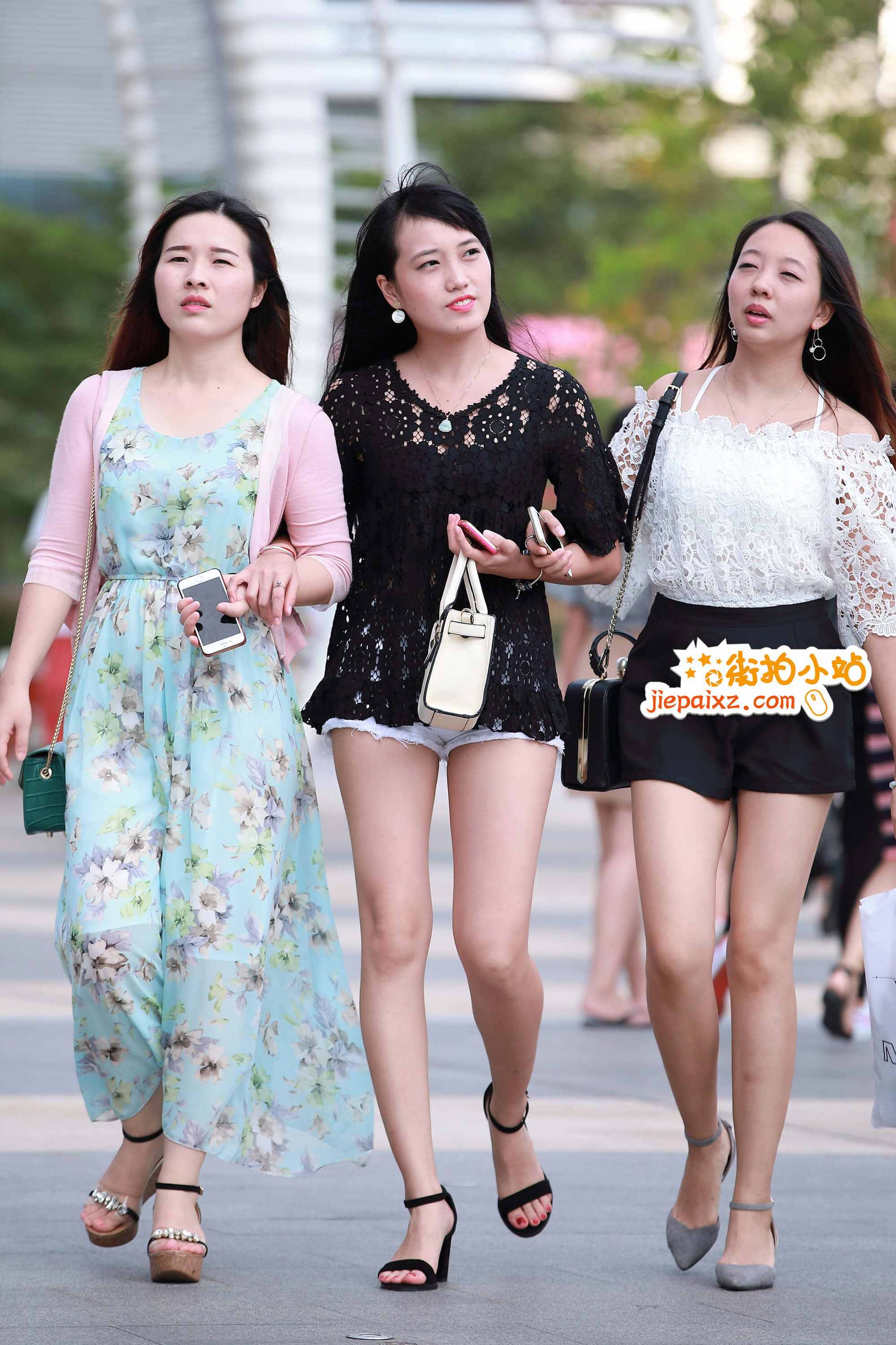 203801o12plbppbo.jpg