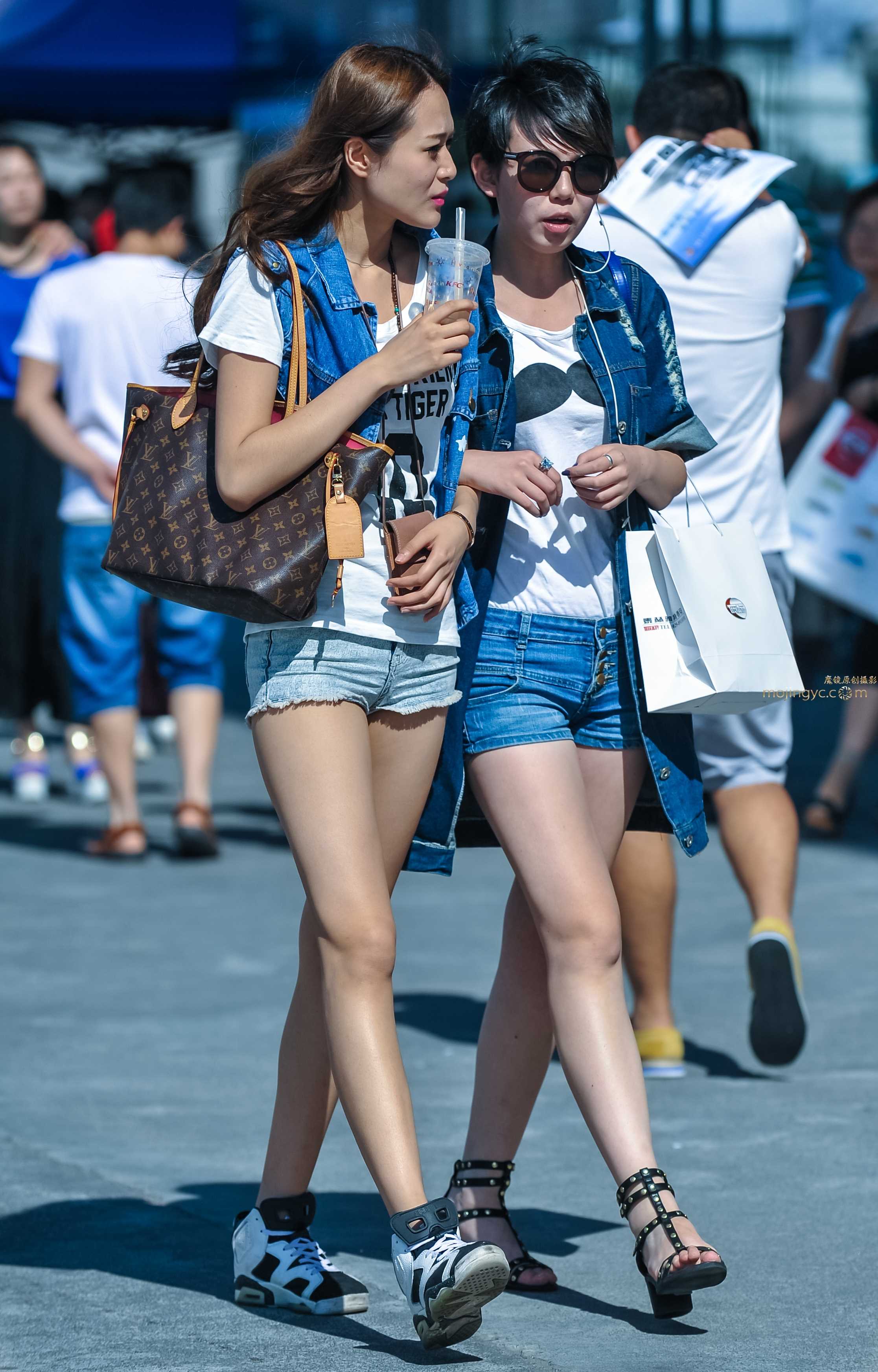 8805-tfjb3dhvdmo.jpg