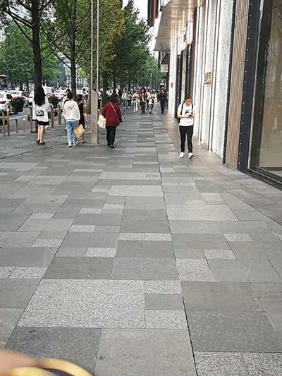 33786-qflelihsoei.jpg