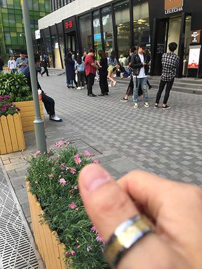 31265-wongyncxurp.jpg