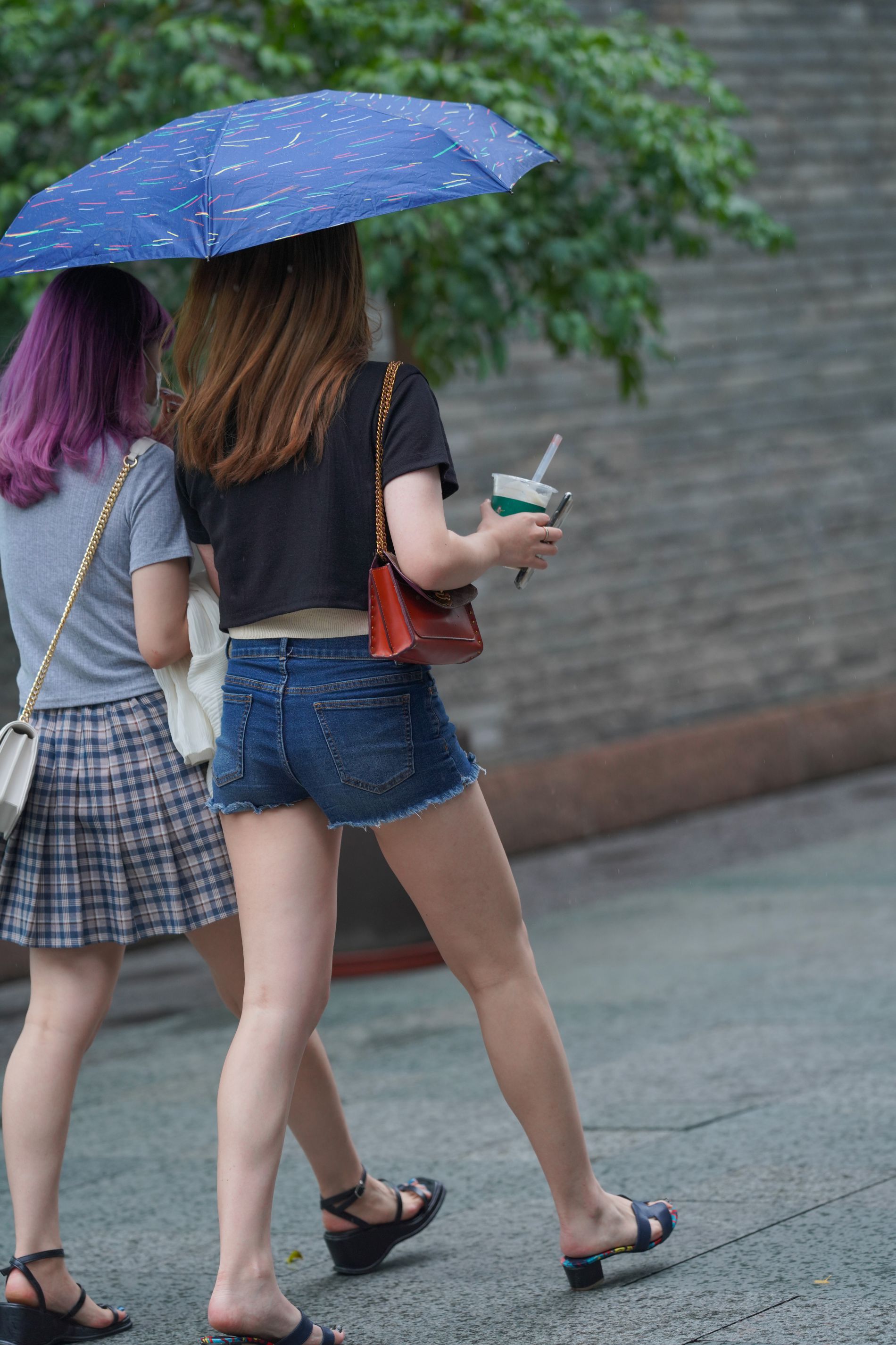 29626-dfse1x4tqkm.jpg