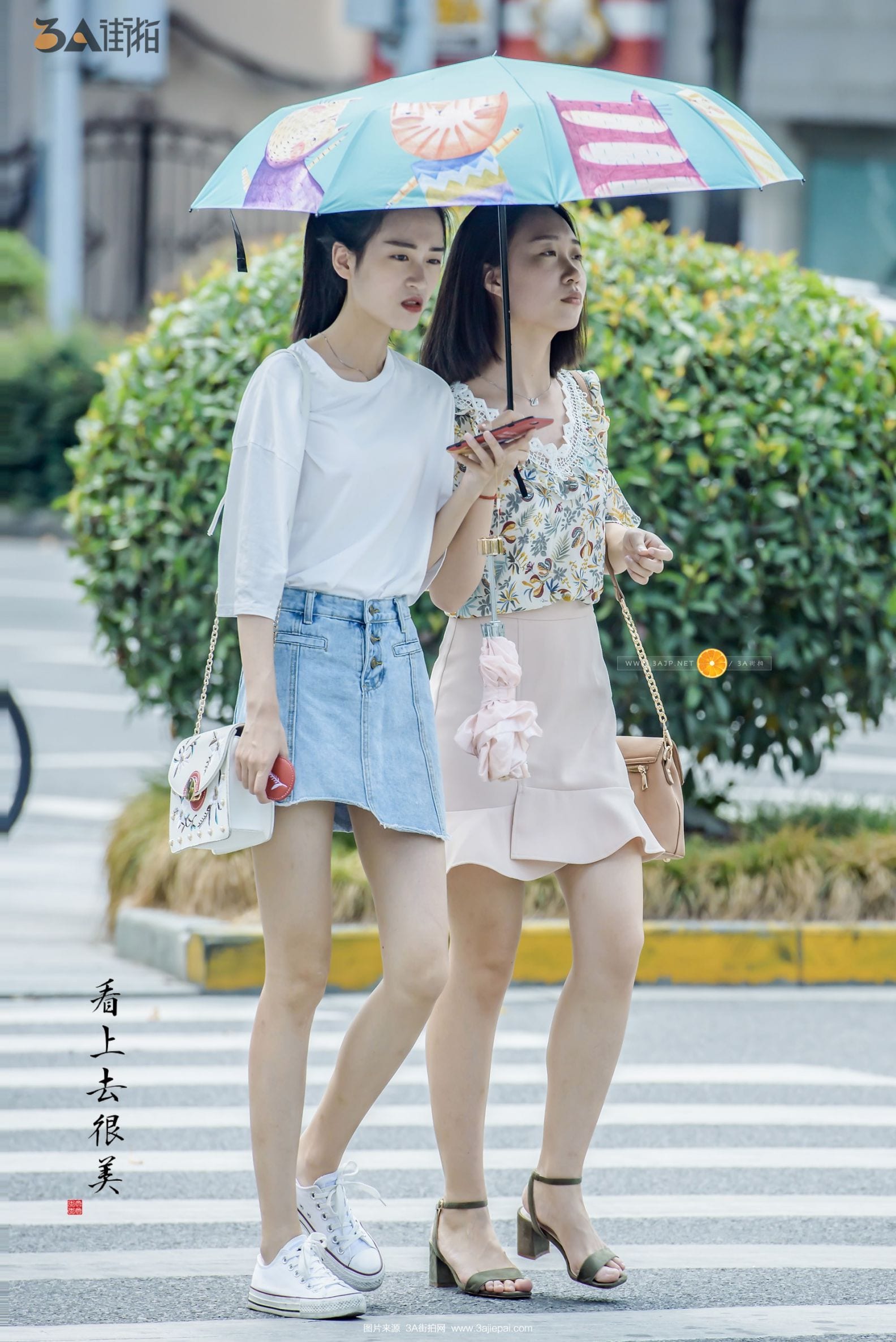 96537-ufky0djj45s.jpg