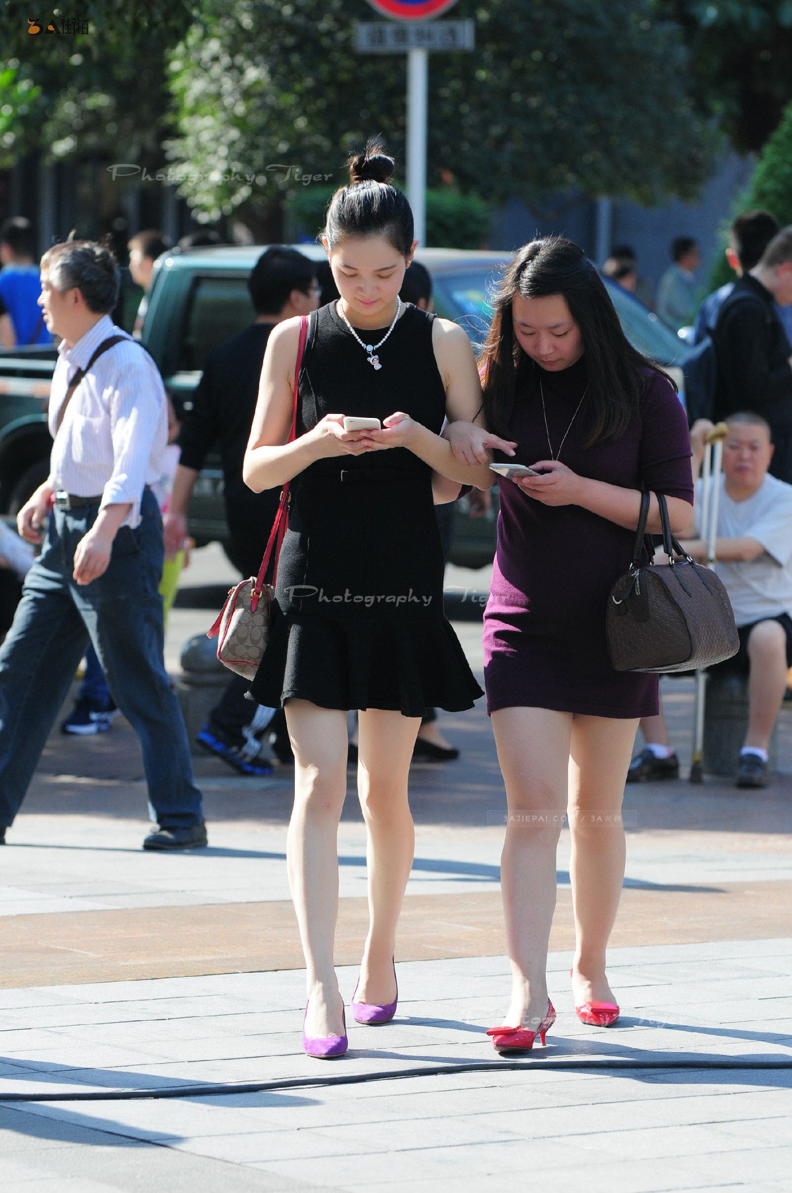 88119-ybippuklip5.jpg