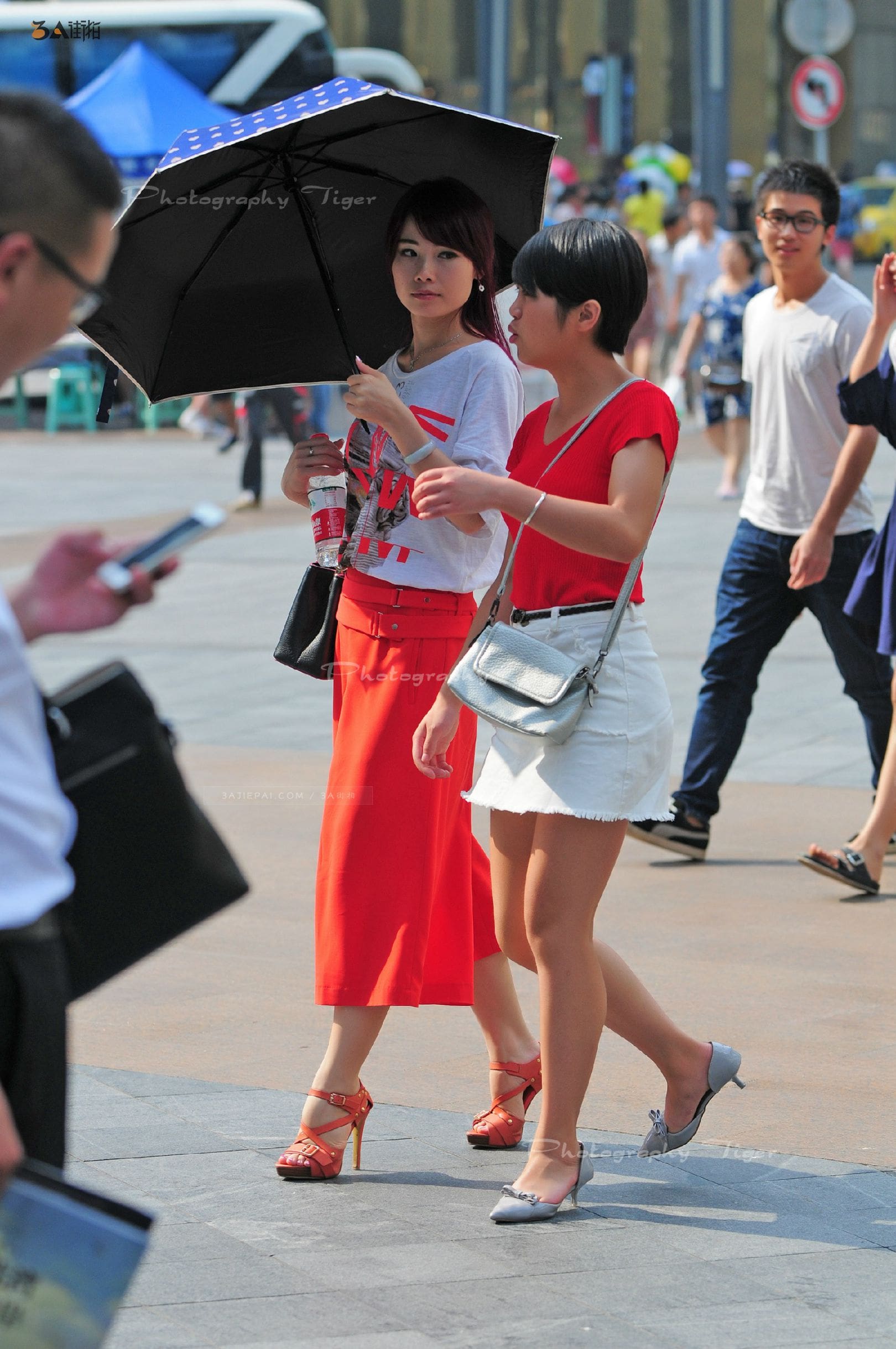 86573-h15glvz3c5f.jpg