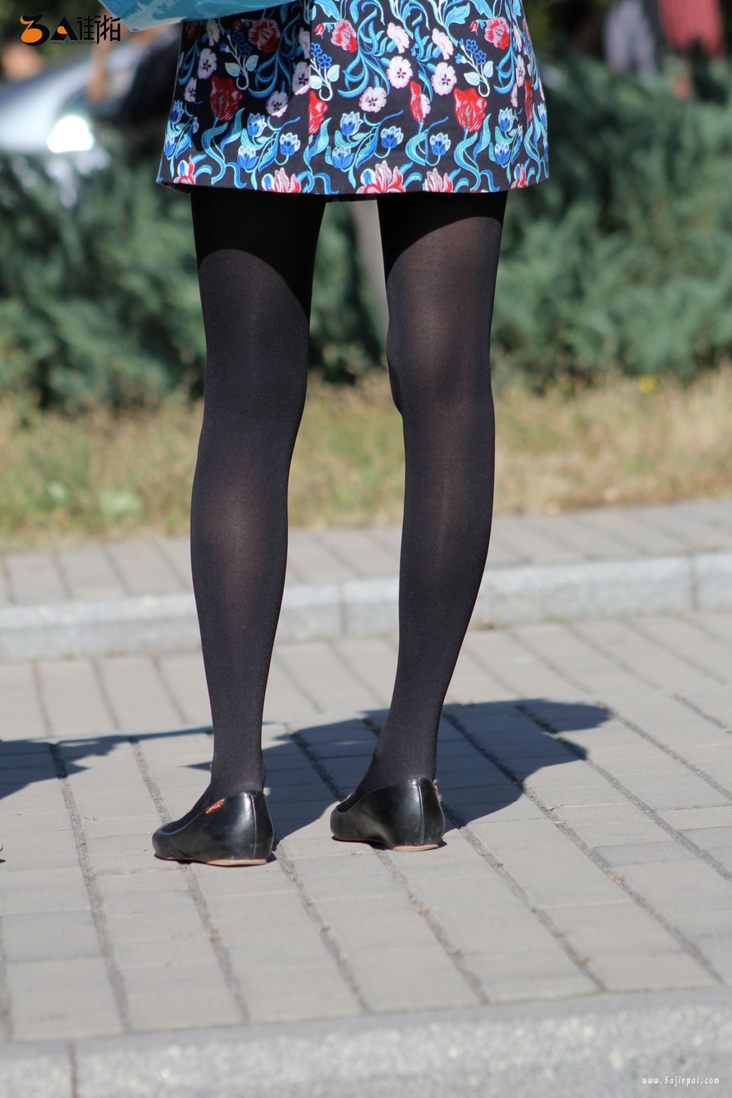 86286-u4otp0ahhoe.jpg