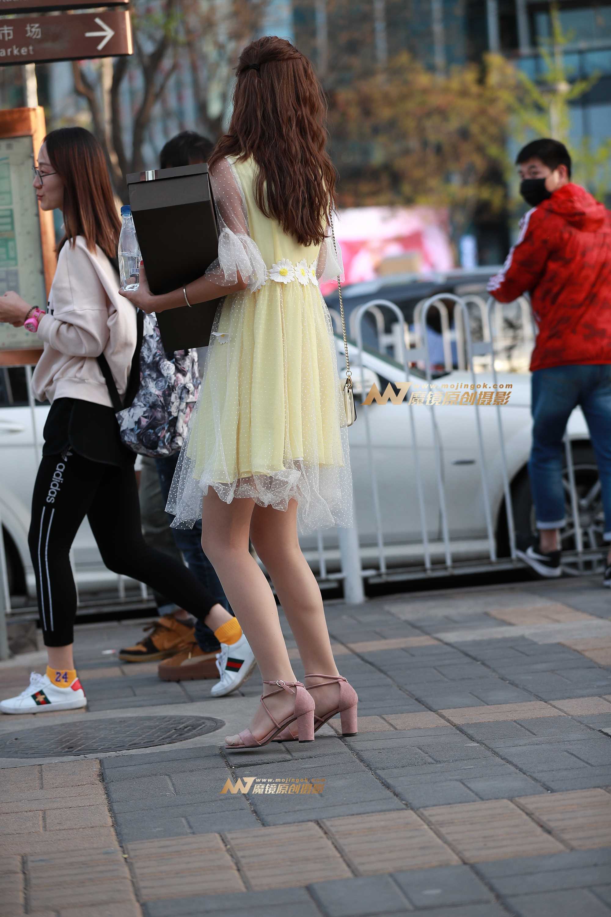 23225-sjhcm4ouox5.jpg