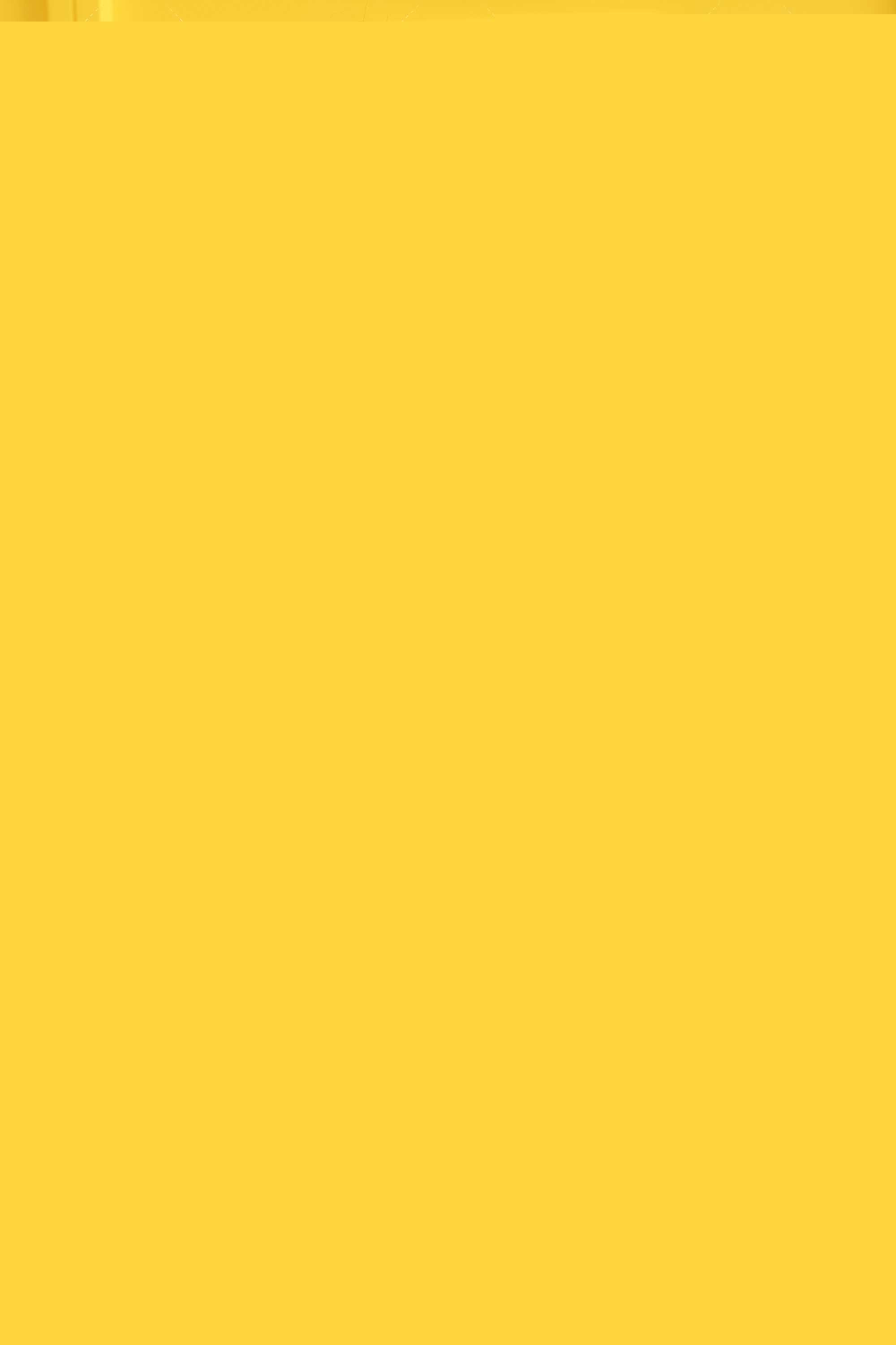 39876-2u2tv0fyljo.jpg