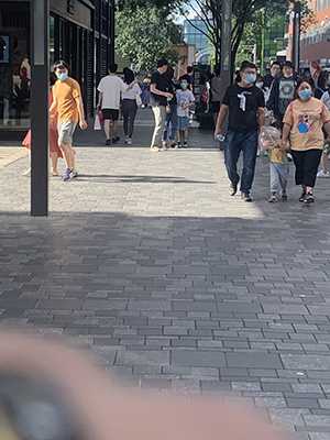 37204-s50a5fckz03.jpg