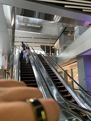 38690-nfshhkujgff.jpg