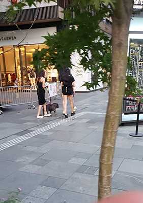 38915-fhzpw2onh0e.jpg