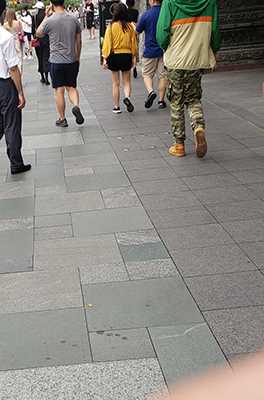 39095-jwym3d5co50.jpg