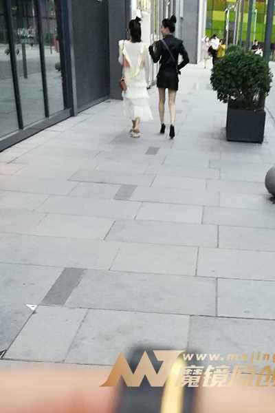 27917-treutv2ofwl.jpg