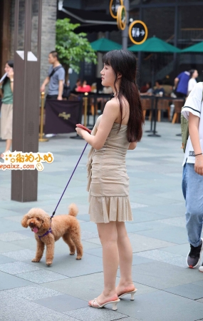 遛狗