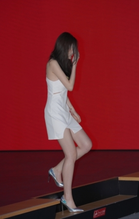 靓丽车模