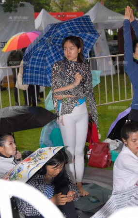 雨中的百合