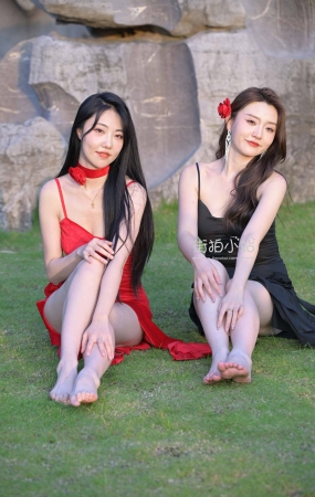 草地上的姐妹