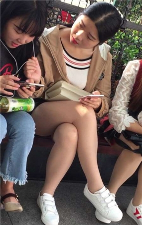 路边花坛玩手机的三位清纯丝袜美腿小美女