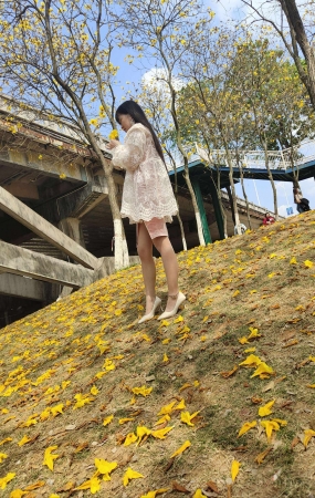 极品肉丝白高跟美人