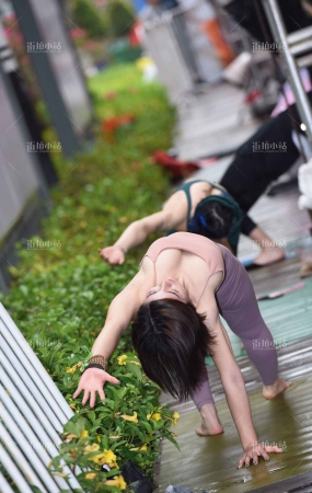 紫